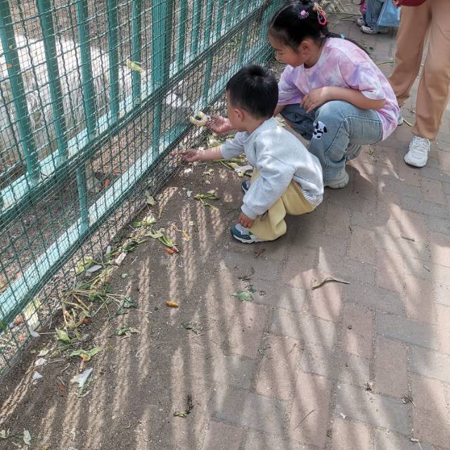张护工照片