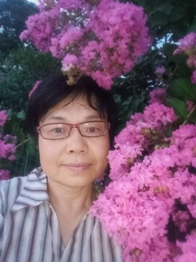 阿姨资料照片