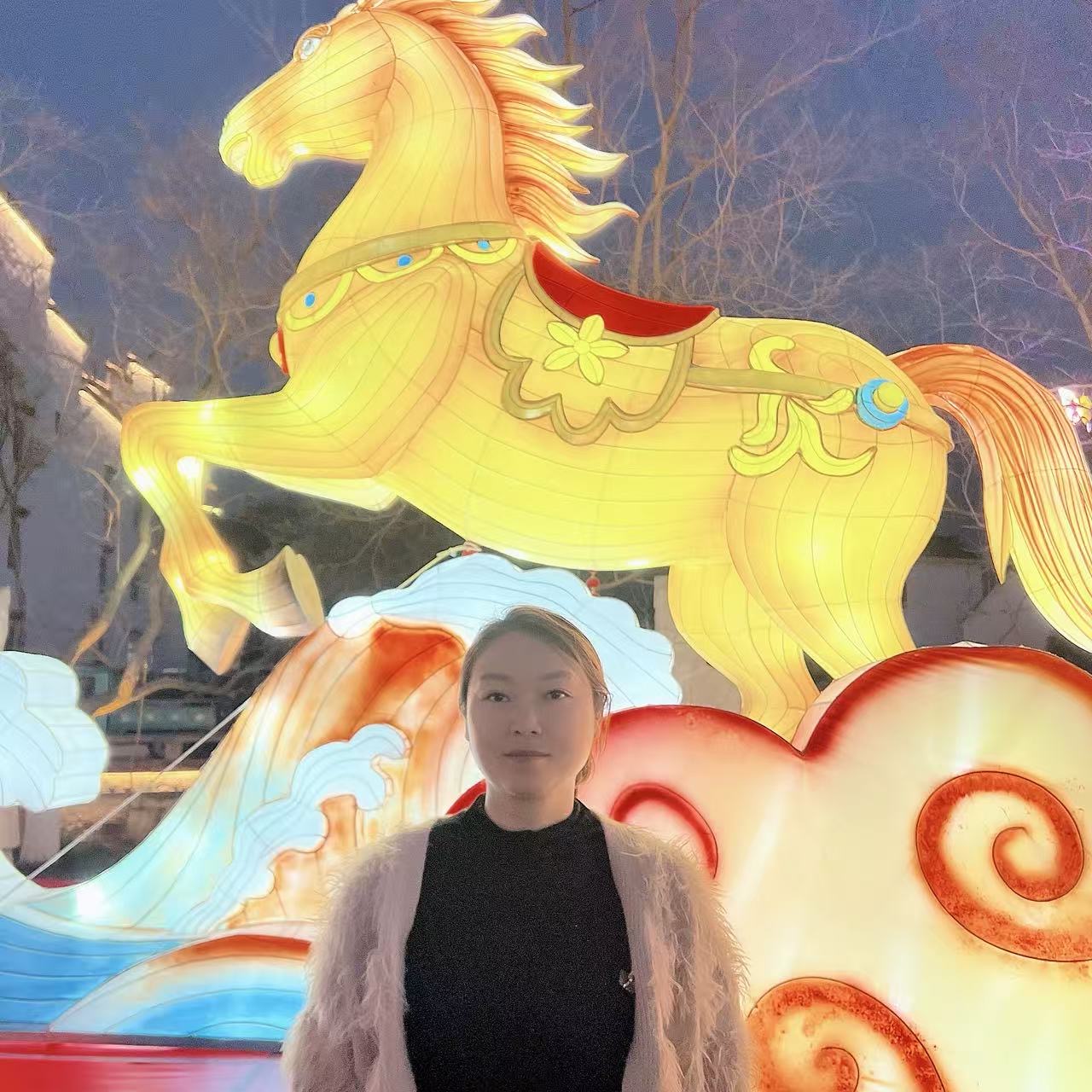 王阿姨照片