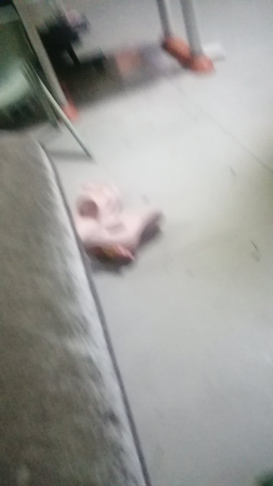 孙阿姨照片