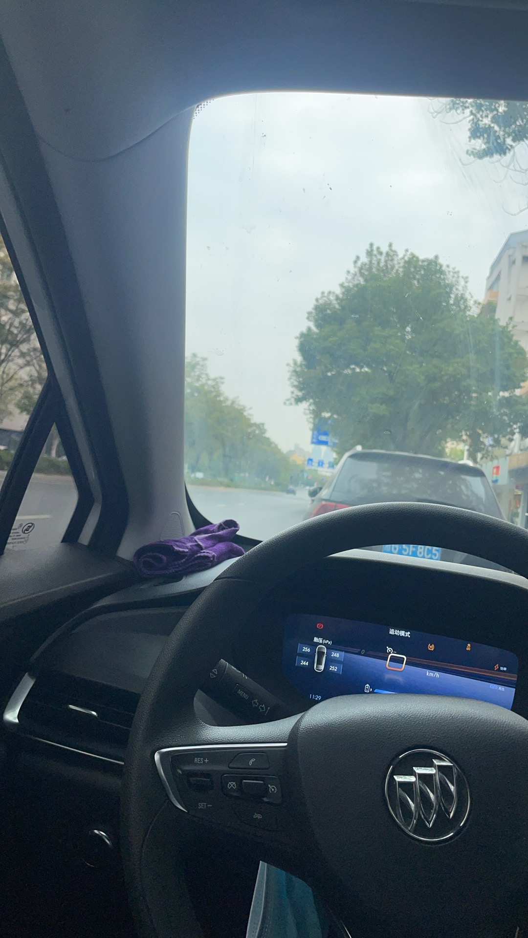 盛阿姨照片