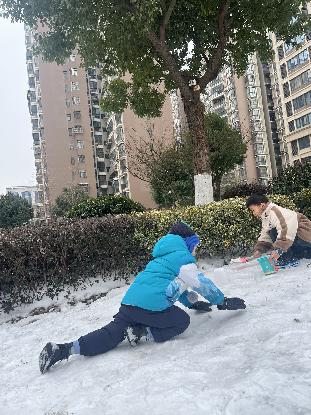 王阿姨照片