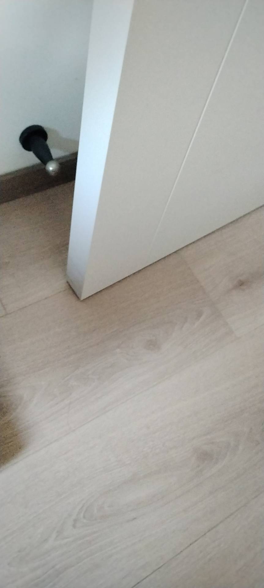 魔护工照片