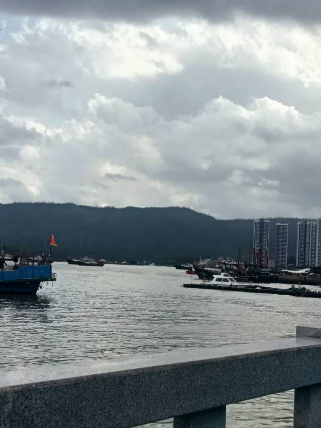 杨护工照片