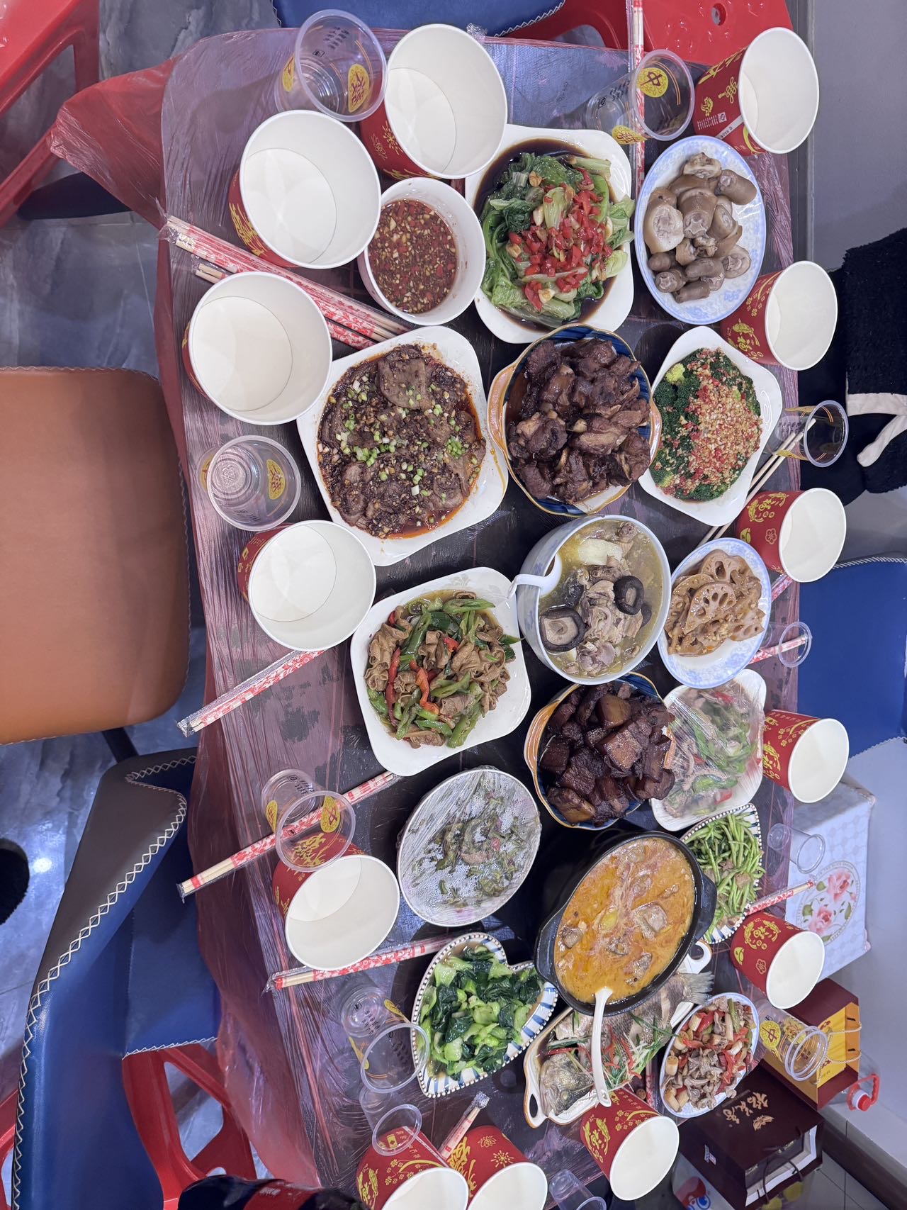 卢阿姨照片