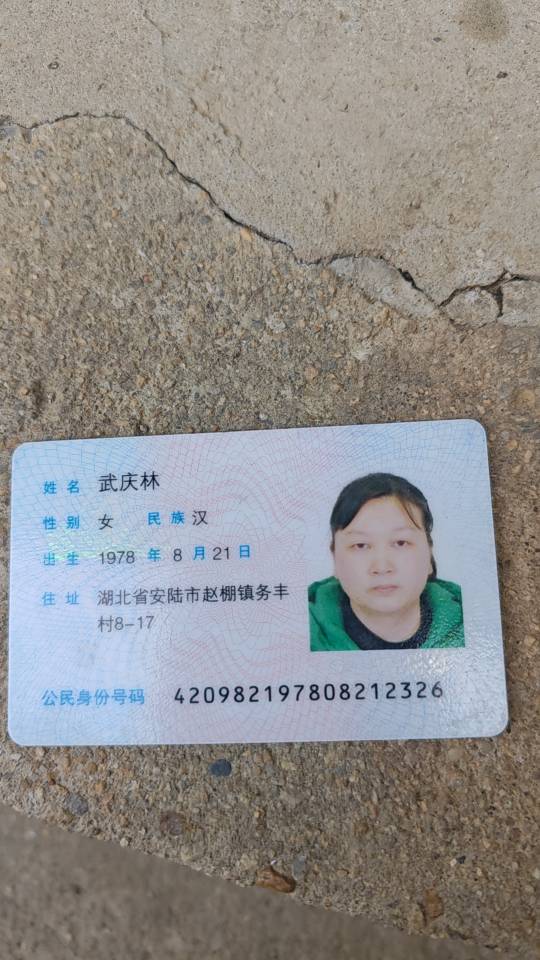 武阿姨照片