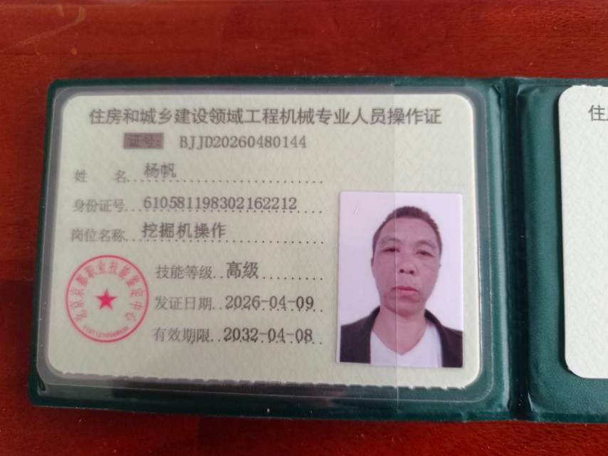 杨阿姨照片