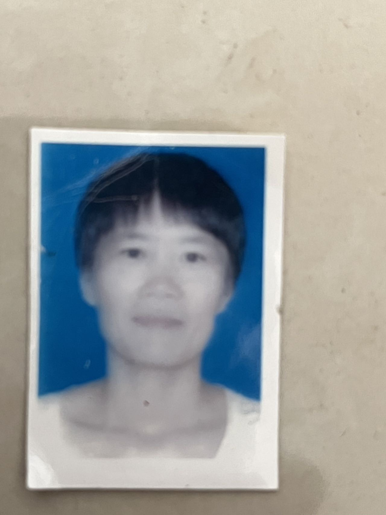 王阿姨照片