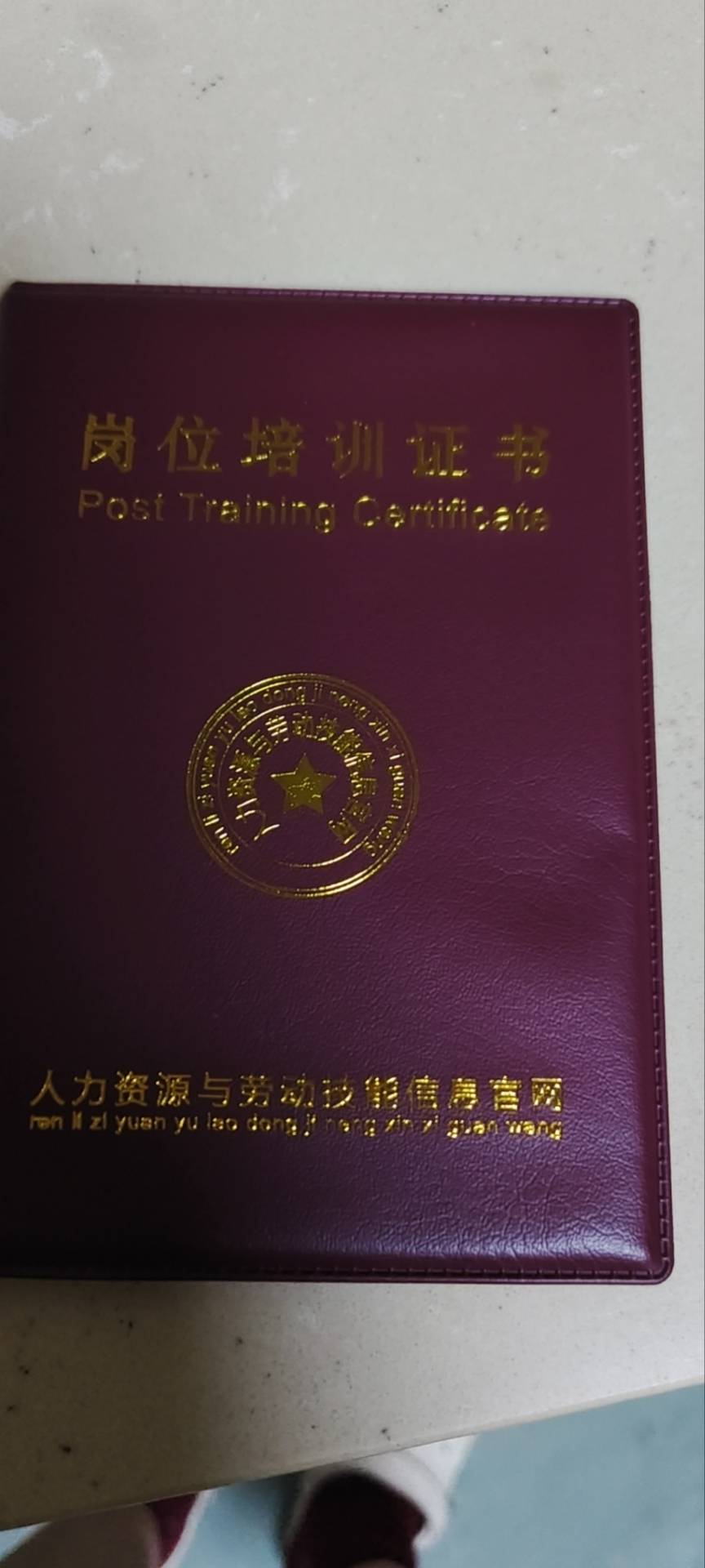 李阿姨照片