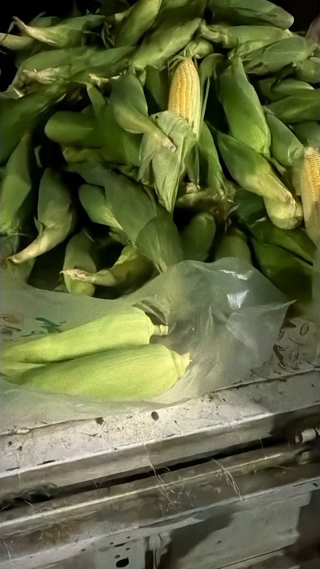 刘阿姨照片