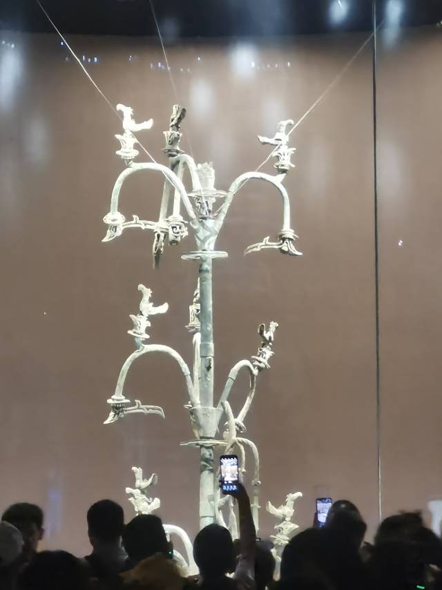 孙阿姨照片