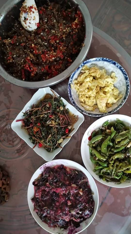 喻阿姨照片