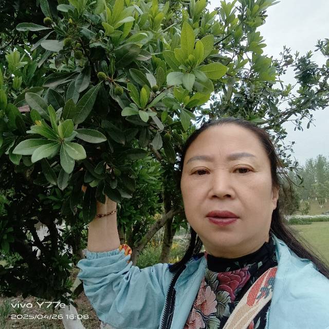 陈阿姨照片