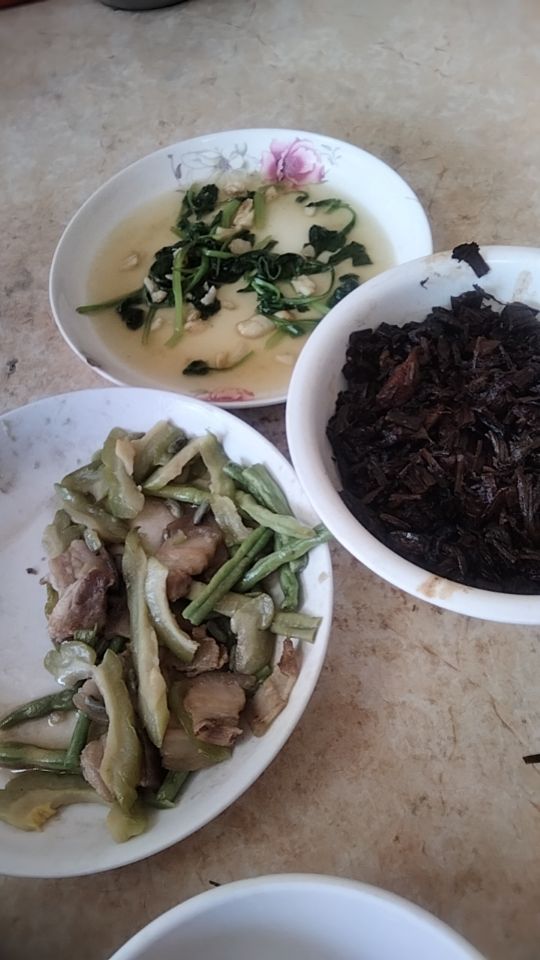 蔡护工照片
