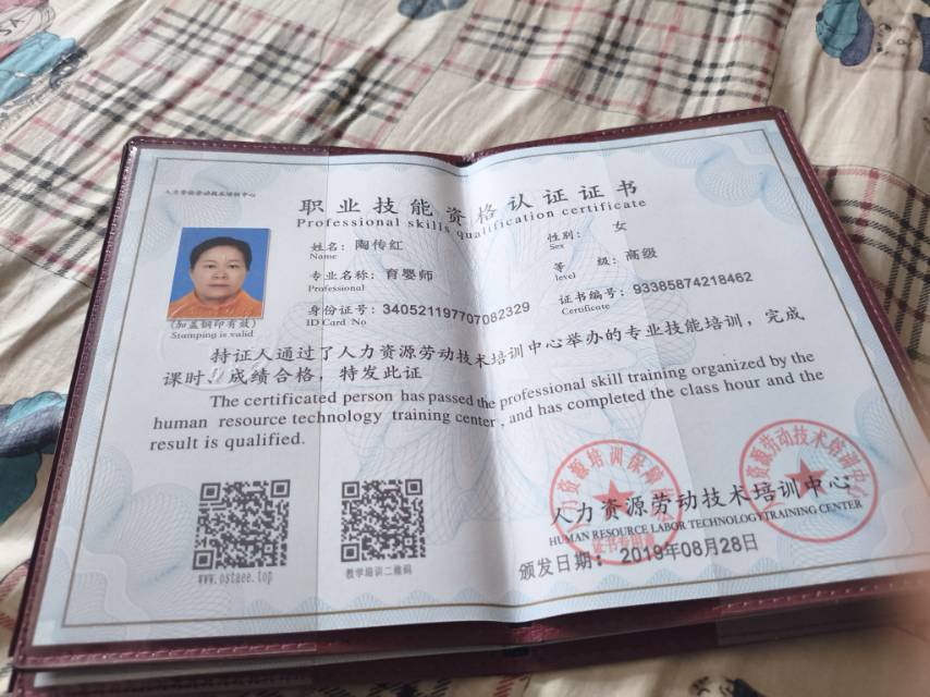 陶阿姨照片
