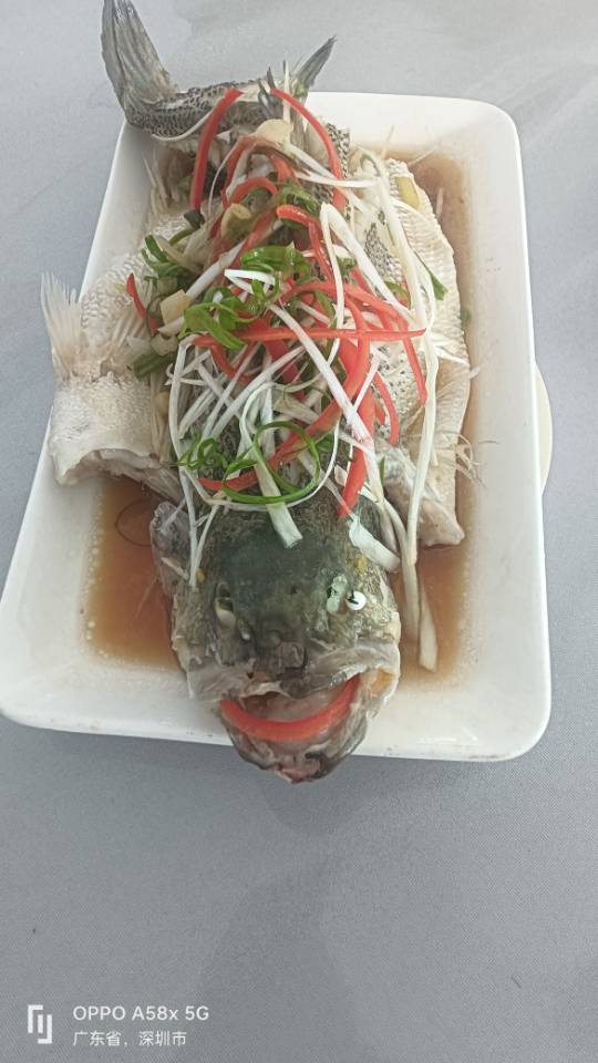 黄阿姨照片